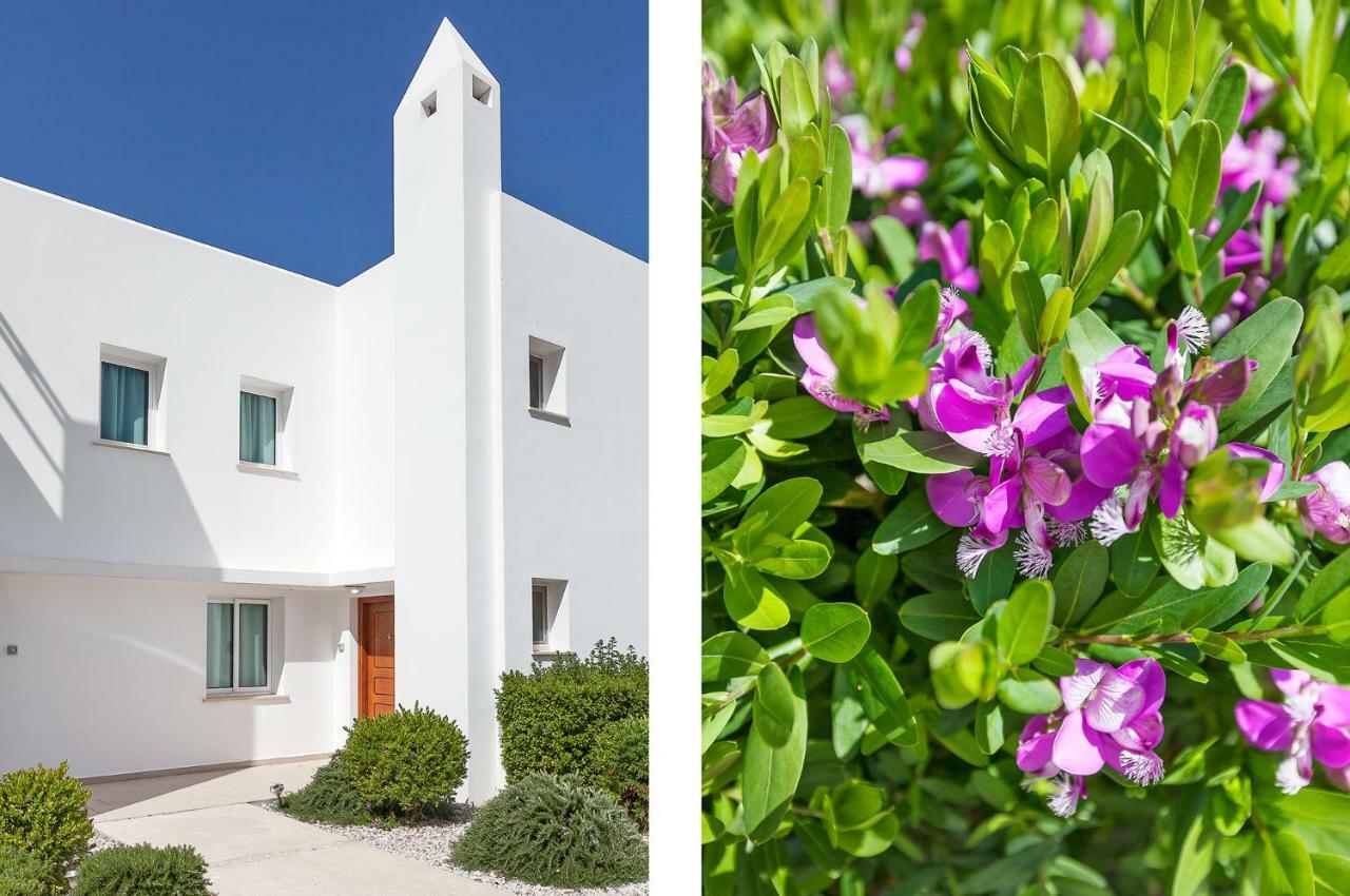 Seaview Selvi Village Apt Vasilia Exterior foto